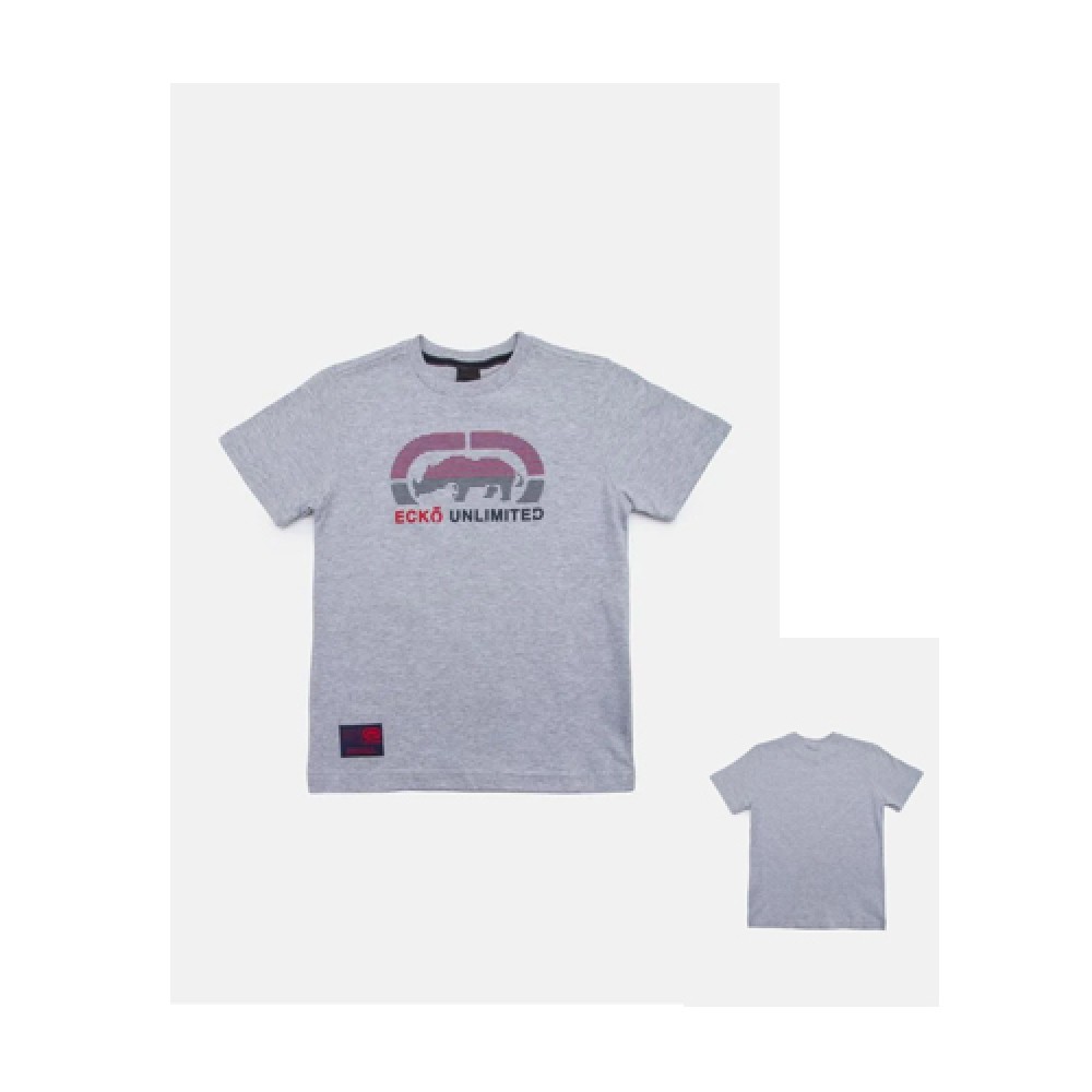 Camiseta Básica Masculina Estampada Gelo Mescla  - Ecko
