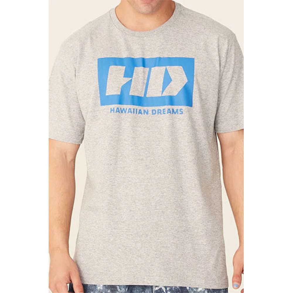 Camiseta Básica Masculina Estampada Cinza  - HD