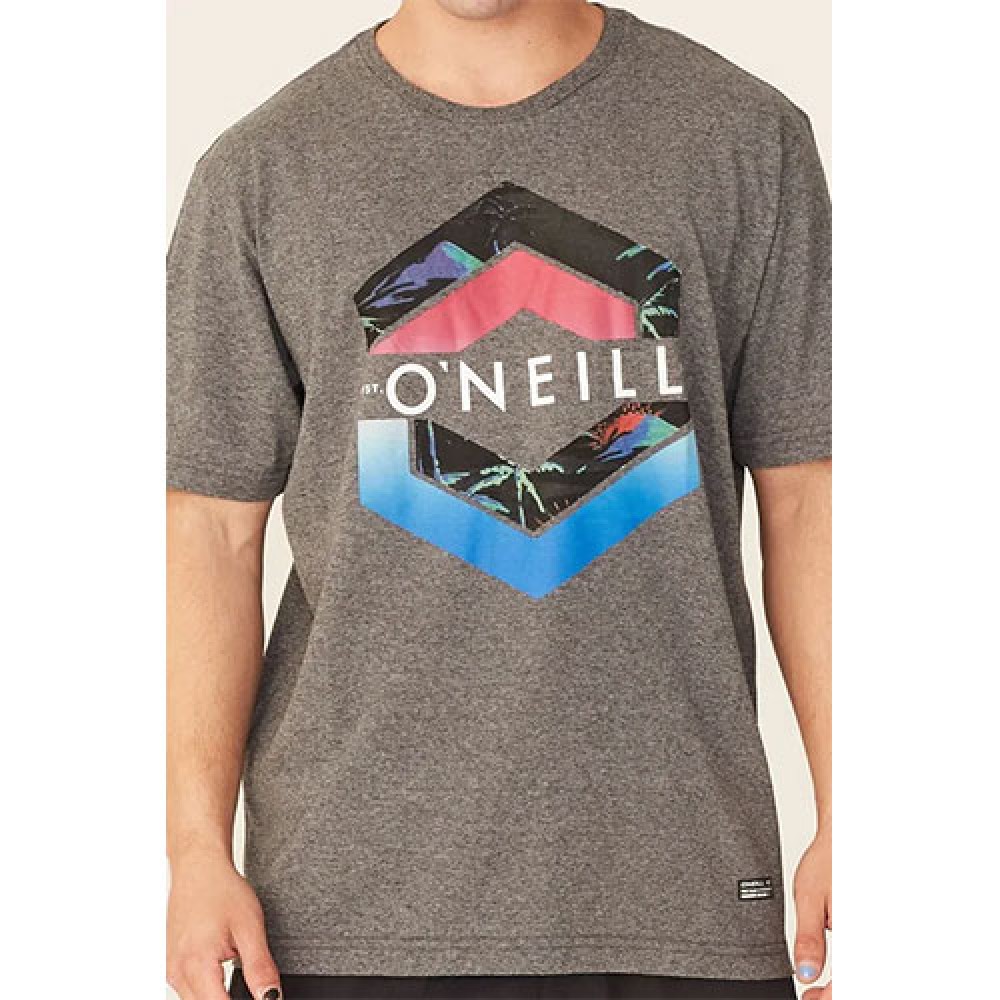 Camiseta Básica Masculina Estampada Cinza Mescla Escuro - O'Neill